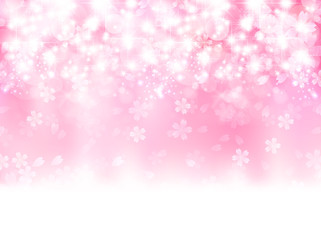 桜　花　背景