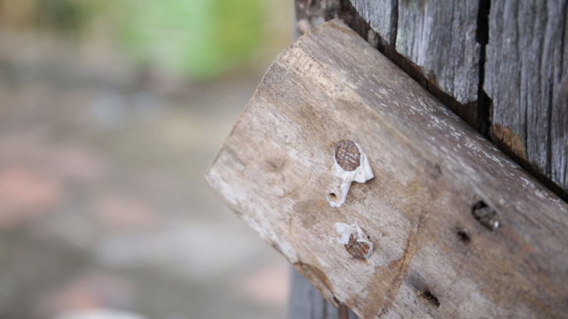 Closeup of Carpenter use equipment to repare the furniture