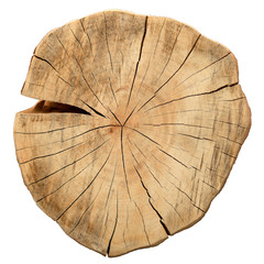 Top view of a tree stump isolated on white background