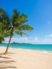 Fototapeta premium Tropical beach of Koh Samui island