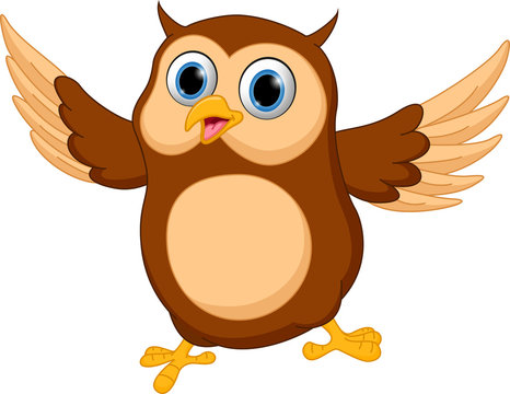 Happy owl cartoon