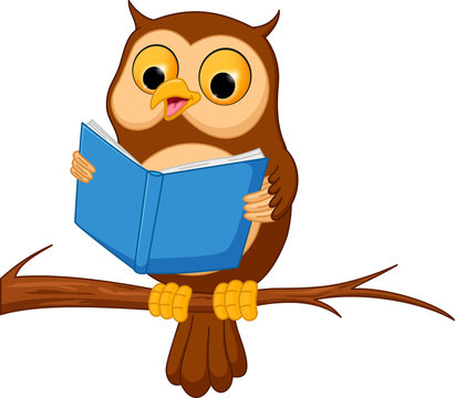 Owl cartoon reading a book