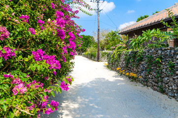 沖縄県　竹富島の風景
