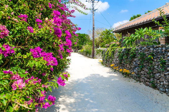 沖縄県　竹富島の風景