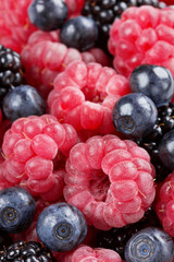 ripe organic raspberries, blueberries and blackberries