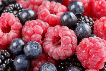 ripe organic raspberries, blueberries and blackberries