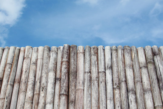 Bamboo wall