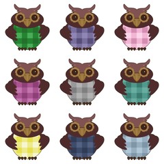 nice owls on white background