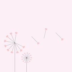 The vector dandelion,vector illustration,heart dandelion,wallpap