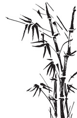 Naklejki  Bamboo branches isolated on the white background. Vector