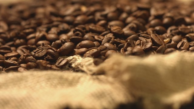 Coffee beans in the bag