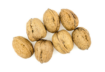 Pile of walnuts in shells isolated on white