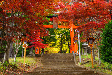 Porte torii à la pagode chureito en automne, Fujiyoshida, Japon