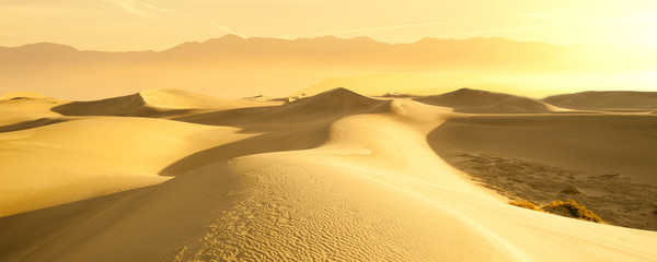 Desert Sand Dunes