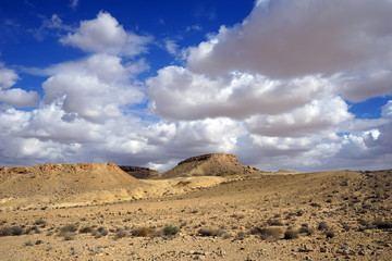 Negev desert