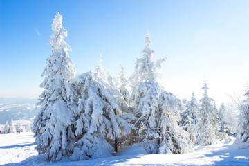 Sun and snow in mountains
