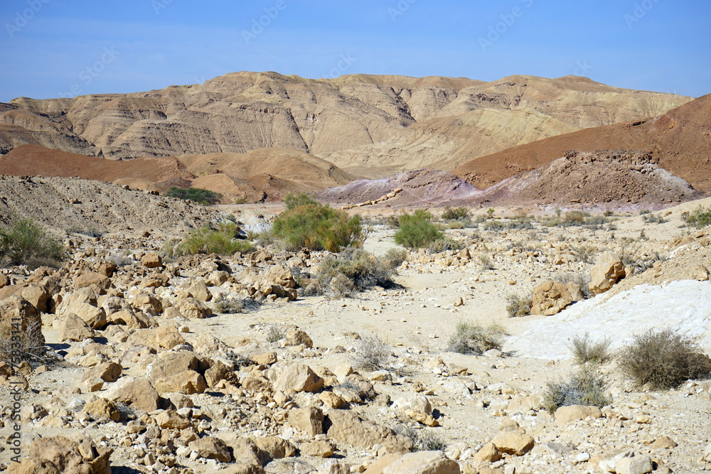 Canvas Prints Dry riverbed