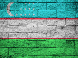 Uzbekistan Flag painted on grunge wall