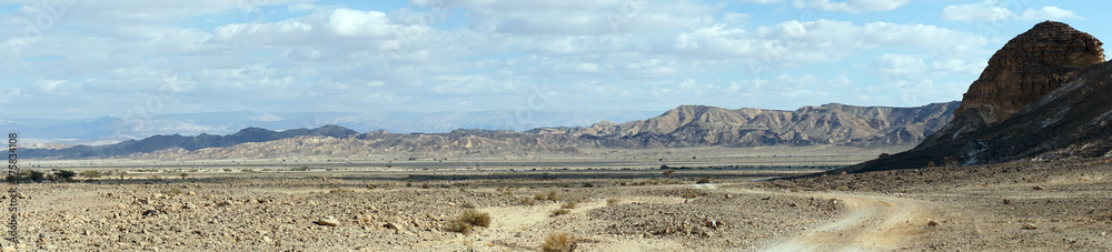 Wall mural Negev desert