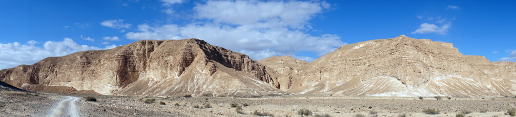 Negev desert