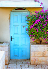 Fototapeta na wymiar Old blue rustic wooden door and flowers