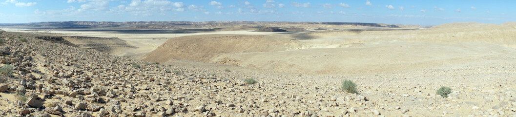 Negev desert