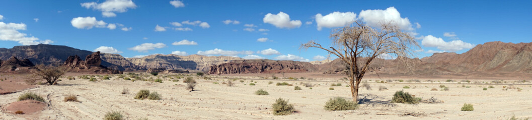 Timna park