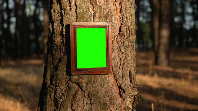 Picture Frame for a present