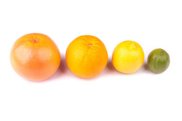 citrus fruit