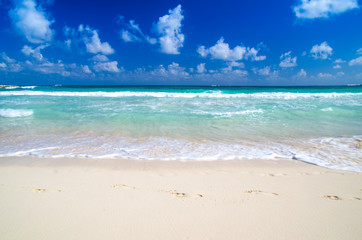 tropical sea