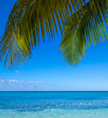 Fototapeta premium beach