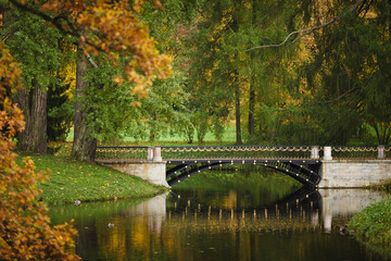 Naklejka premium Bridge at autumn time