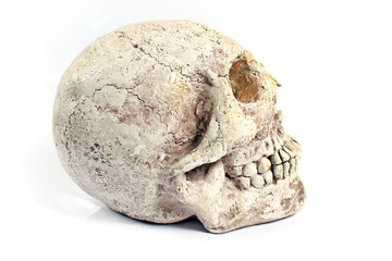 Human skull made of plaster isolated on white