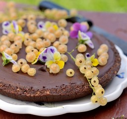 Delicious chocolate tart with berries on the white plate