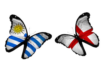 Concept - two butterflies with Uruguay and  England flags flying