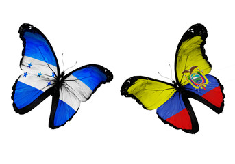 Concept - two butterflies with Honduras and Ecuador flags