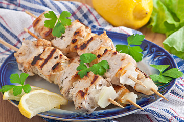 Grilled pork kebab with onions