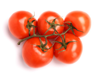 branch of tomatoes