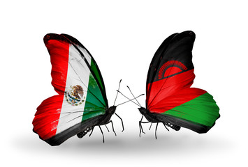 Two butterflies with flags  Mexico and Malawi