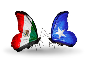 Two butterflies with flags Mexico and Somalia