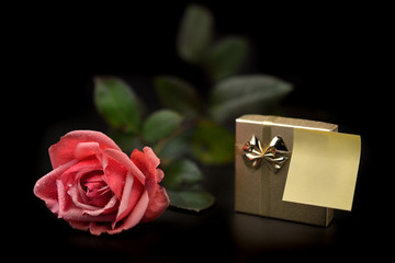 rosa con regalo e biglietto vuoto