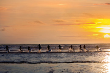 Group of young surfers on the beach, surfin on sunset