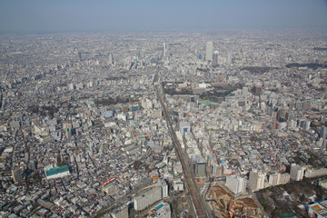 Fototapeta premium 空撮