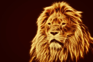 Fototapeta premium Abstract, artistic lion portrait. Fire flames fur
