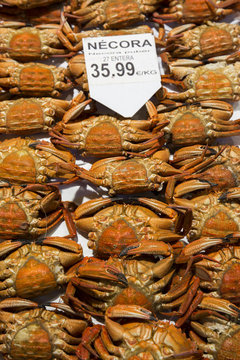 Fresh crabs infish market