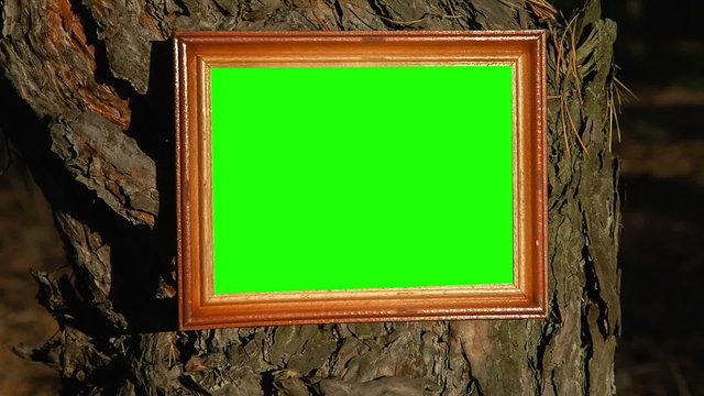 Green screen frame