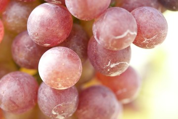 Fresh grapes