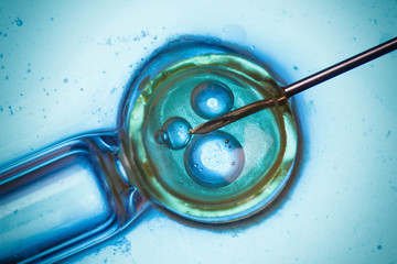 Laboratory microscopic research