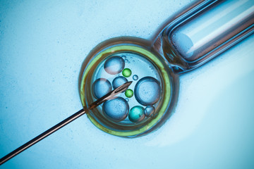 Laboratory microscopic research, virus, bacteria or vaccination