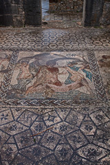 Obraz na płótnie Canvas Volubilis, römisches Mosaik